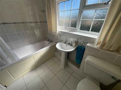 Picture 15